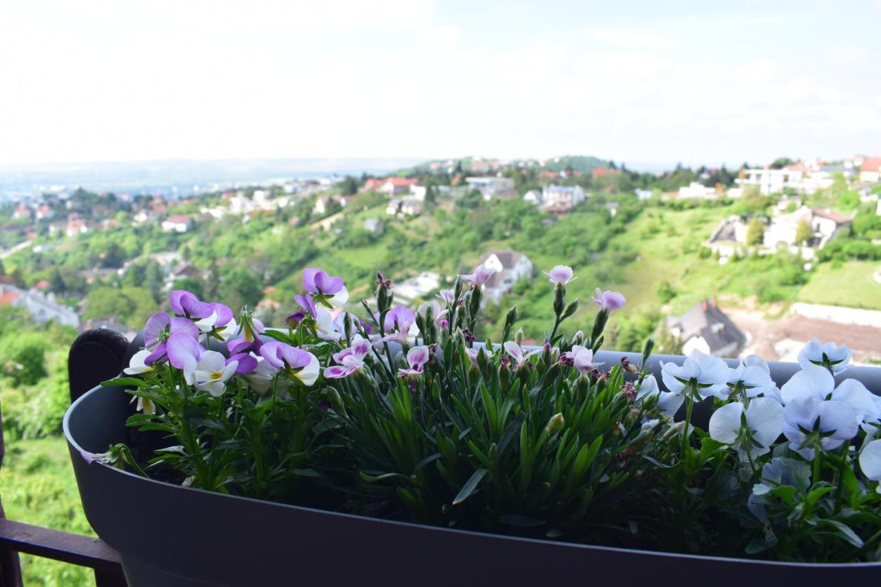 Ferienwohnung Panorama Kucko Pécs Exterior foto